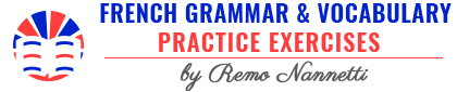 French Grammar & Vocabulary Practice Exercises